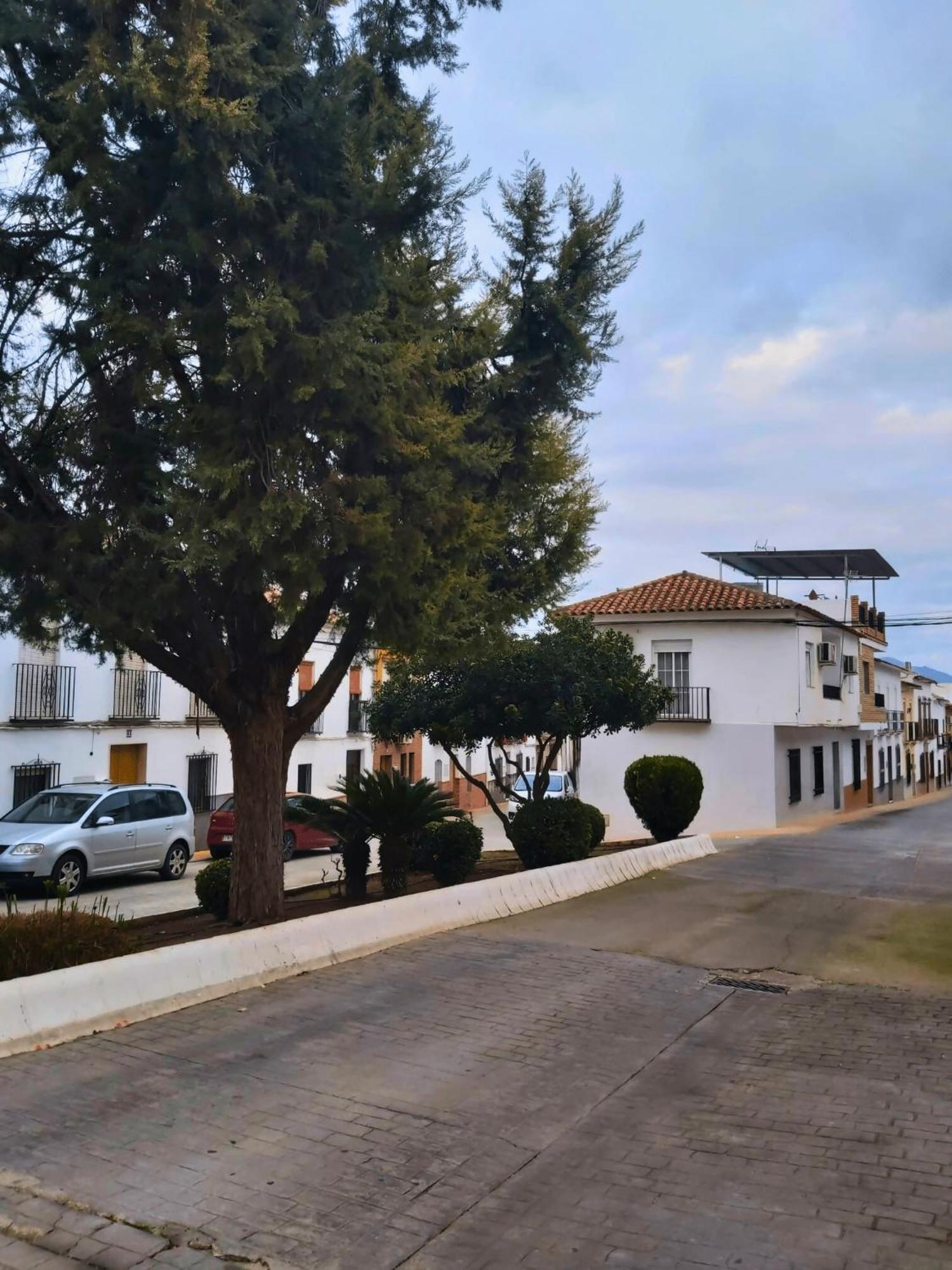 Encinas RealesArcadia Centro De Andalucia别墅 外观 照片